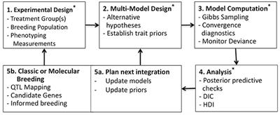 Phenotypic Trait Identification Using a Multimodel Bayesian Method: A Case Study Using Photosynthesis in Brassica rapa Genotypes